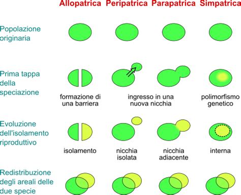 diagramma della speciazione allopatrica