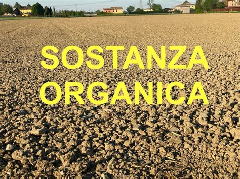 Terreno fertile ricco di sostanza organica