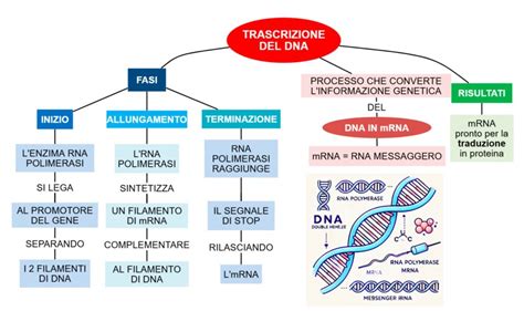 Rappresentazione del DNA e della genetica