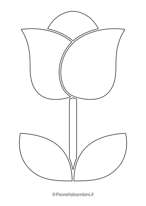 Tipi di tessuti e sagome per petali di fiore