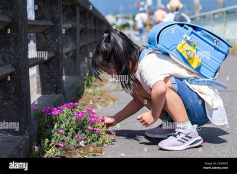 Bambini che raccolgono margherite in un prato