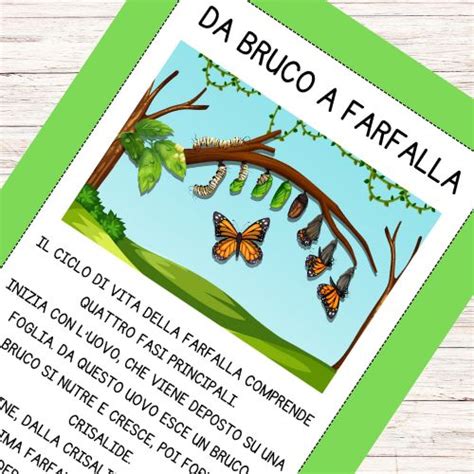 Illustrazione dal libro 