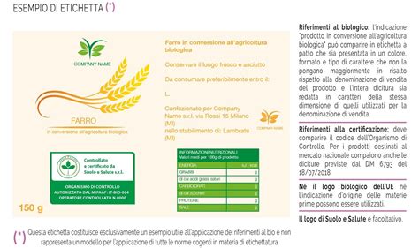 Esempi di etichette di bevande che illustrano diversi stili di design (classico, moderno, minimalista, tipografico)