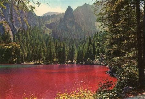 Lago di Tovel con passeggino