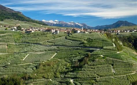 Meleti in Val di Non