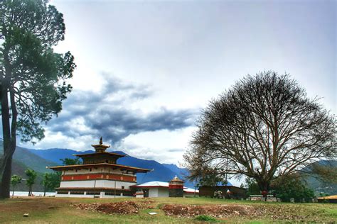 veduta panoramica del Chimi Lhakhang circondato dalle risaie