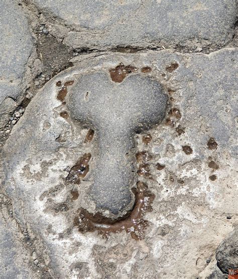 particolare di un simbolo fallico decorativo sulle pareti di una casa del villaggio di Sopsokha