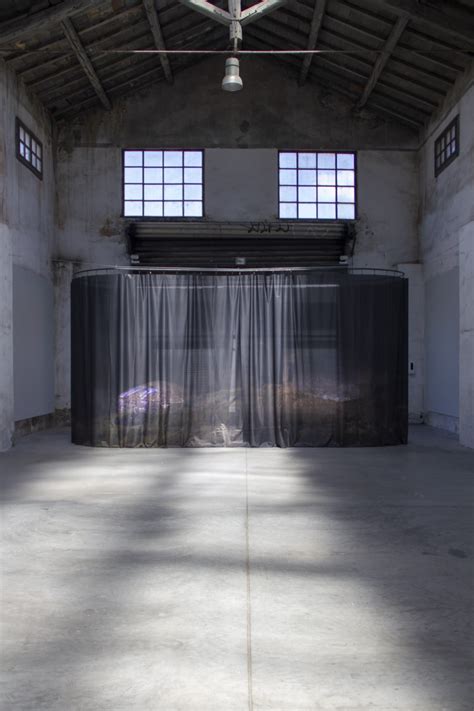 Installazioni d'arte contemporanea al Middelheim Museum