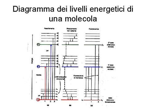 Diagramma comparativo dei livelli di assorbenza dei pannolini