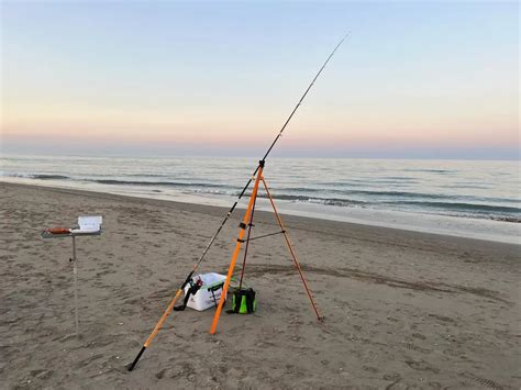 Mercato dell'usato di attrezzature da pesca, con focus sui panieri