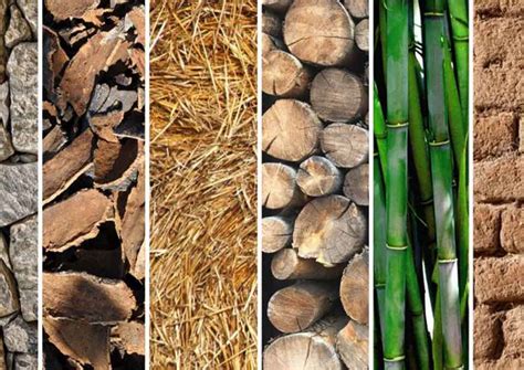 Icone di prodotti ecologici e materiali naturali