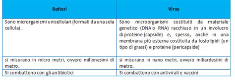 schema della differenza tra batteri che sopravvivono allo stomaco e quelli che vengono degradati