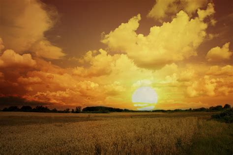 Campo fertile al tramonto