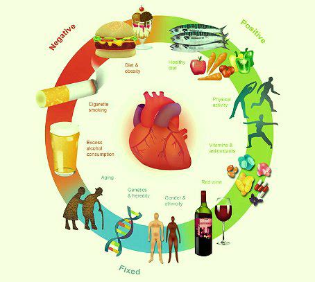 Fattori di rischio per le malattie cardiovascolari