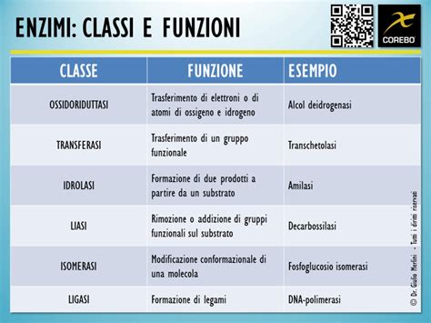 schema delle diverse tipologie di enzimi e il loro target di sporco