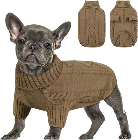 Cane che indossa un maglioncino lavorato a maglia mentre si rilassa in casa
