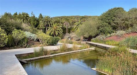 Una panoramica di un giardino botanico ben strutturato su Ark con vari appezzamenti di colture