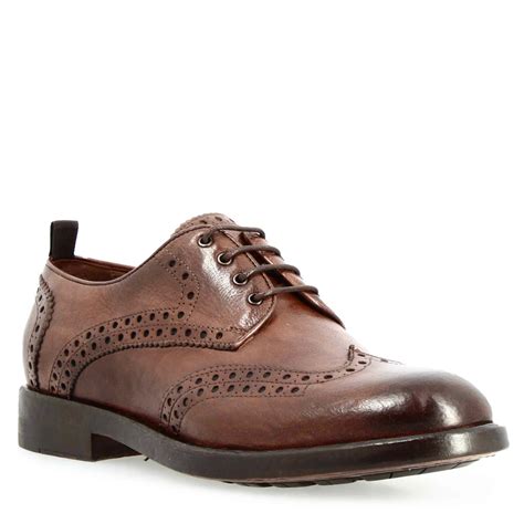 illustrazione classica scarpa inglesina con traforo brogue