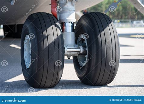 vista dettagliata ruote con sospensioni