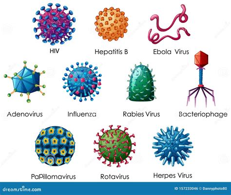 Illustrazione di diversi tipi di batteri e virus intestinali