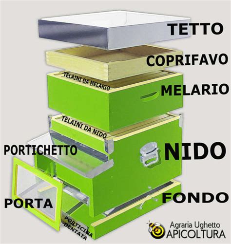 Arnia per fecondazione con una regina giovane e api operaie