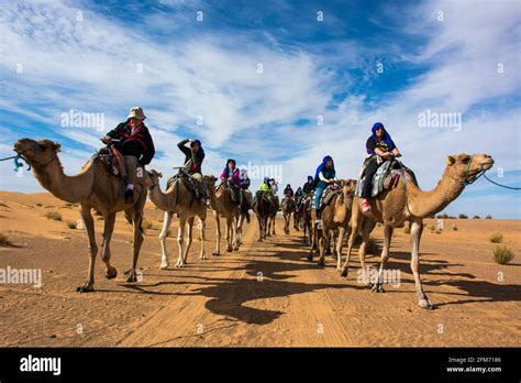 Carovana nel deserto