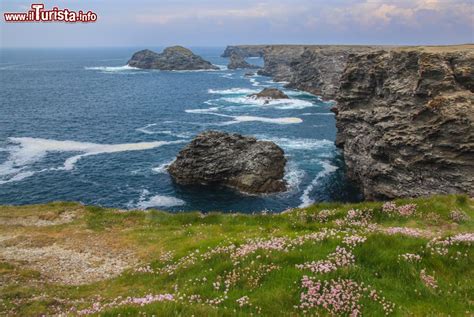 Paesaggio primaverile della Bretagna