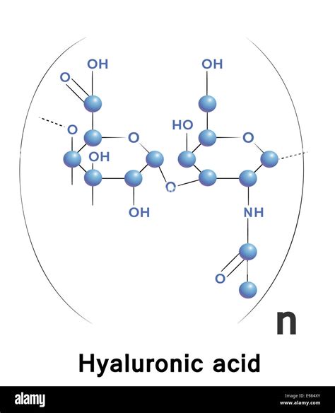 Diagramma molecolare dell'acido ialuronico