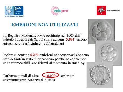 Embrioni in coltura in laboratorio di PMA