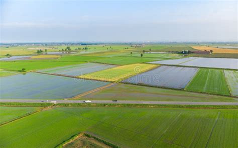 Campi coltivati e agricoltura in Emilia-Romagna
