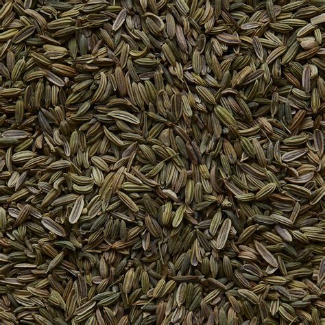 Semi di finocchio, avena e verdure a foglia verde