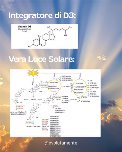 Illustrazione di raggi solari e vitamina D