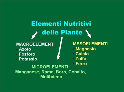 Infografica sugli elementi nutritivi NPK e microelementi per le piante