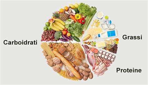 Piatto bilanciato con carboidrati complessi, proteine magre e grassi sani