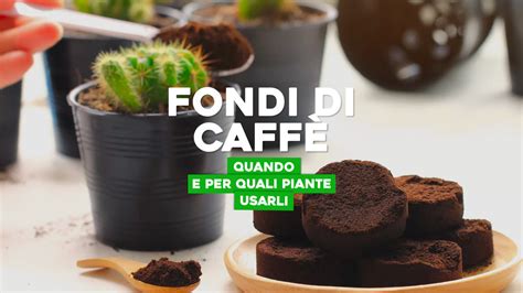 Grafico pH fondi di caffè