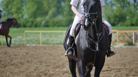 Cavallo e cavaliere in movimento