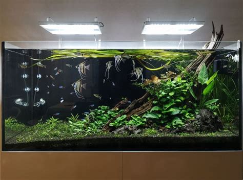 Legno acquario con patina