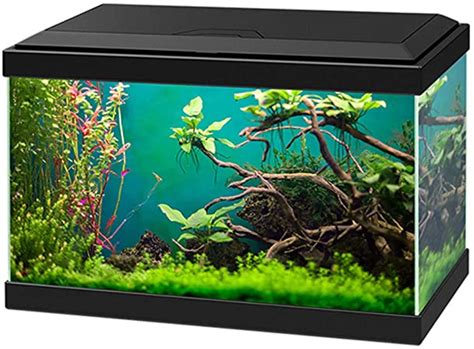 Acquario commerciale 200 litri