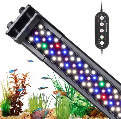 Illuminazione acquario piante