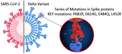 SARS-CoV-2 Delta variant structure