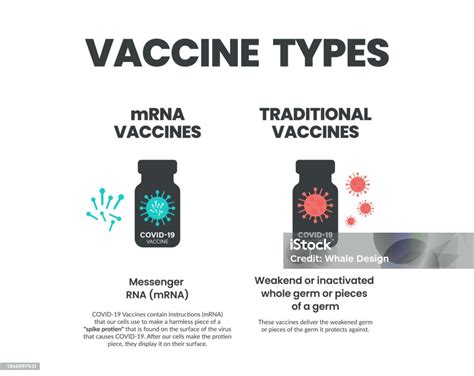 Comparison of viral vector and mRNA vaccines