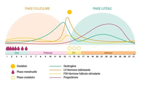 schema pH vaginale