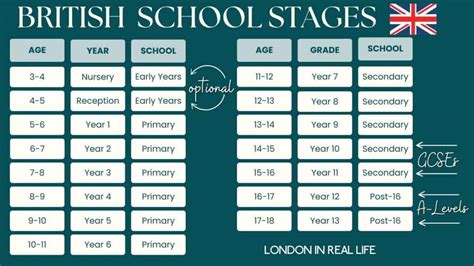 Diagram illustrating the Italian school system levels and age groups