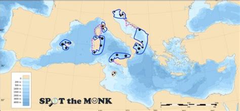 mappa di distribuzione della spigola nel Mediterraneo e nell'Atlantico orientale