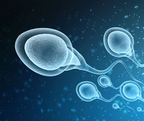 Spermatozoi in viaggio verso l'ovulo
