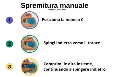 illustrazione tecnica della spremitura manuale del seno
