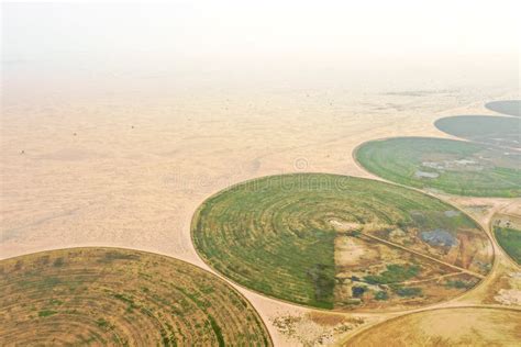 Campi coltivati nel deserto con irrigazione a goccia