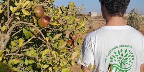 Progetto Sand to Green in Marocco