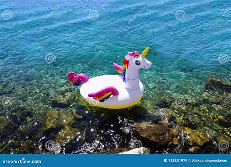 Unicorno galleggiante nell'acqua