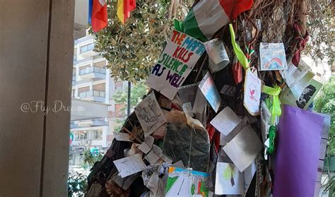 Illustrazione simbolica di un albero della legalità che affonda le radici nella memoria